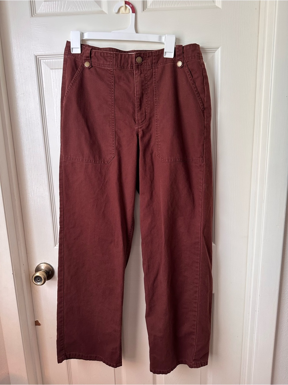 Universal Thread Men's Cargo Pants in Deep Rust